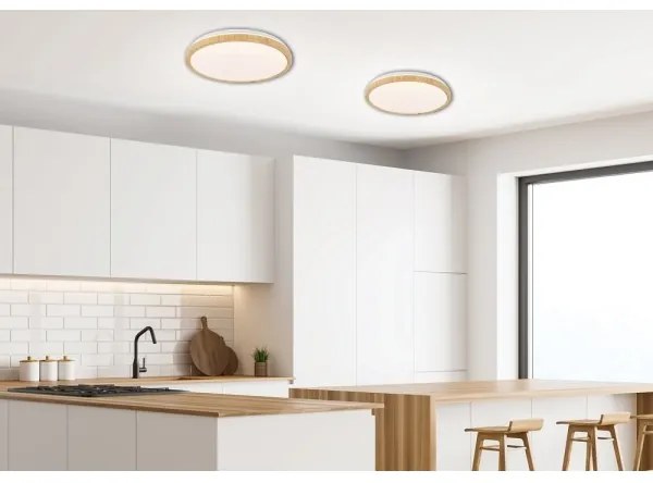 LED Mennyezeti lámpa GANDAVA LED/24W/230V