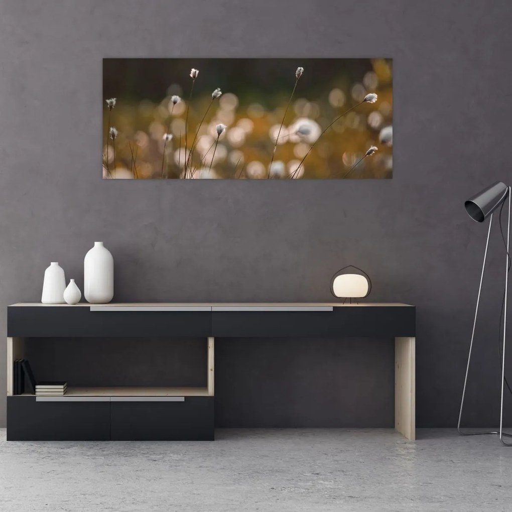 Kép - Gyapotfűvel borított rét N⁰2 (120x50 cm)