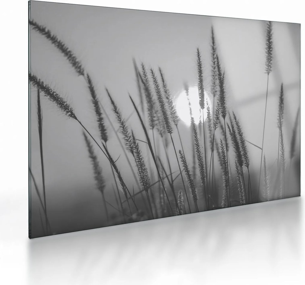 Üveg kép - Mező naplementében (70x50 cm)