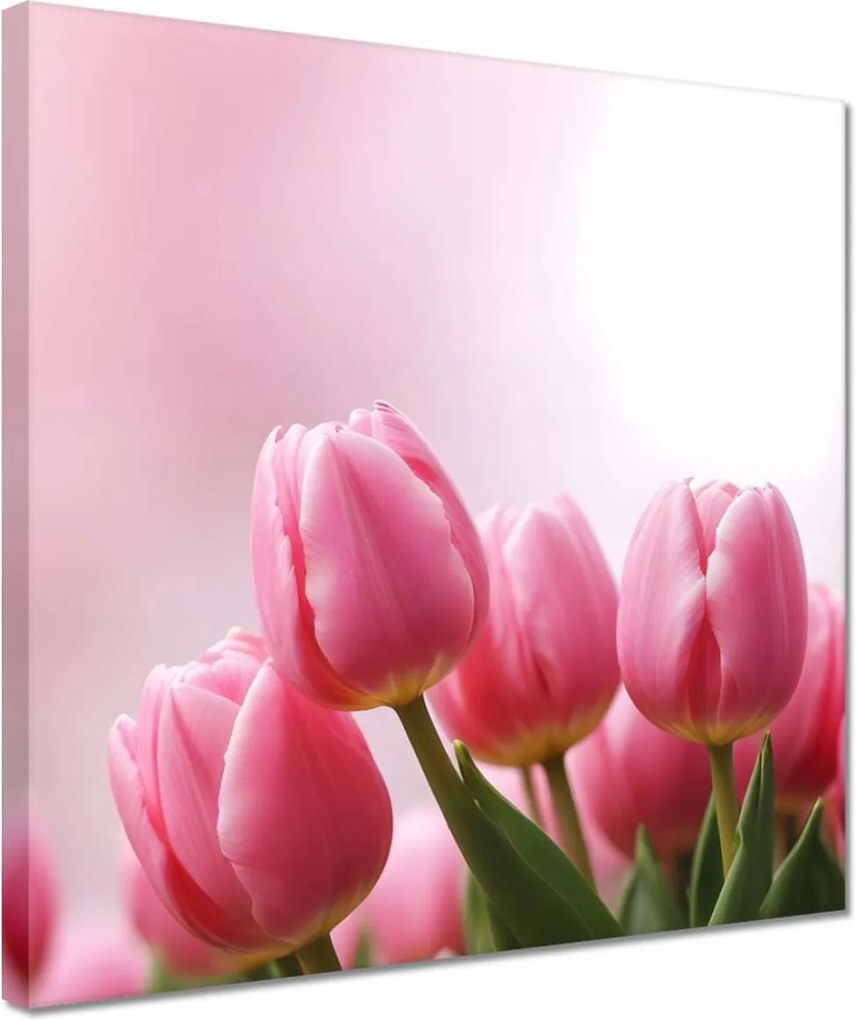 Vászonkép 30x30 Rózsaszín tulipánok