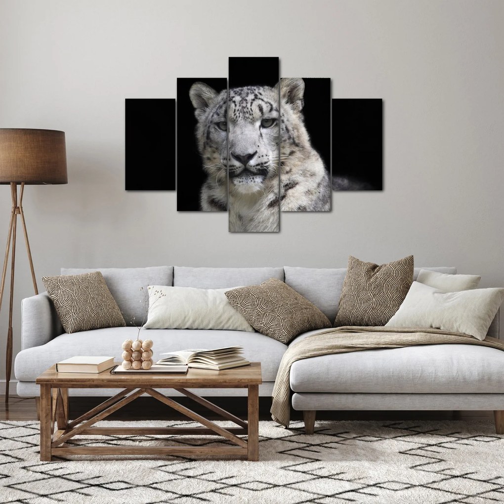 Kép - Snow Leopard (150x105 cm)