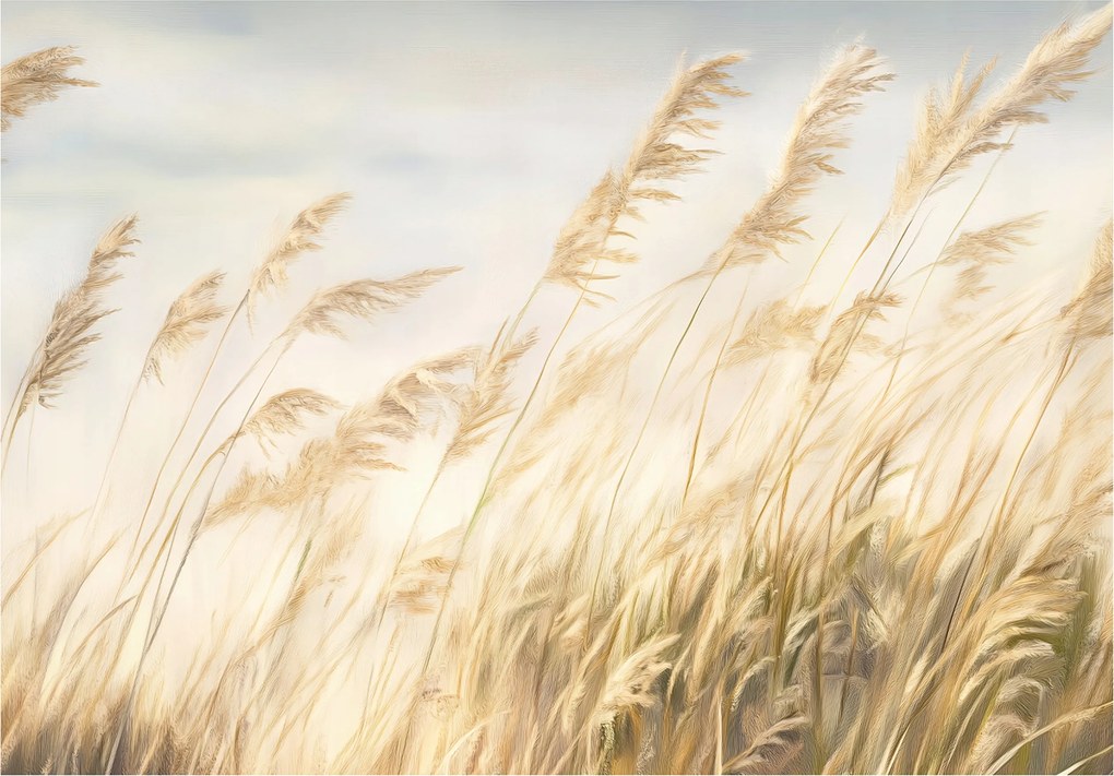 Fotótapéta Pampas Fű Természet Hálószoba Nappali Tapéta Flizelina 150x105