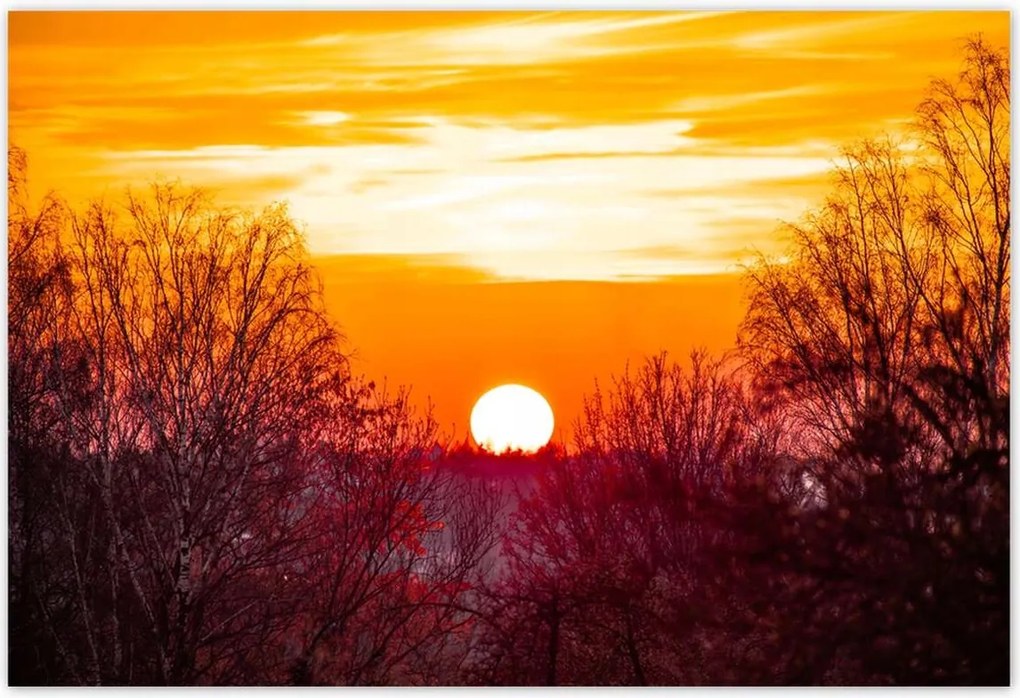 Poszterek 155x105 Kilátás Tájkép