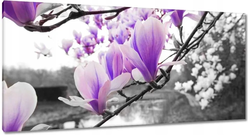 Vászonkép 115x55 Magnólia Virágok