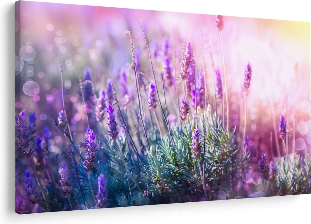 Kép - Levendula a csillogó napban (90x60 cm)