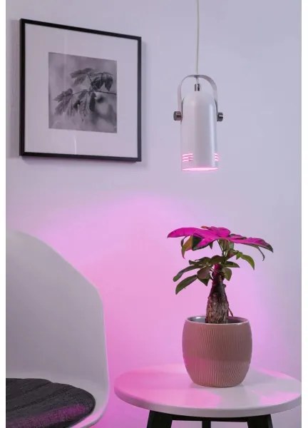 Paulmann 79767 - LED RGBW 1xE27/15W Kábeles függeszték LAVEA 230V fehér