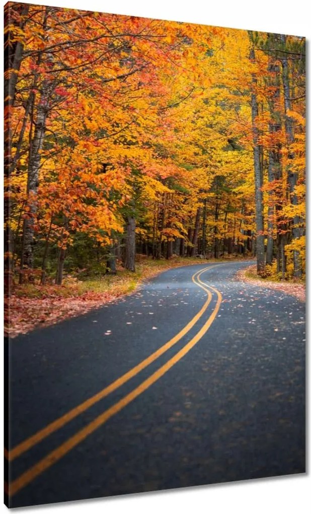 Vászonkép 70x100 Tájkép Látvány