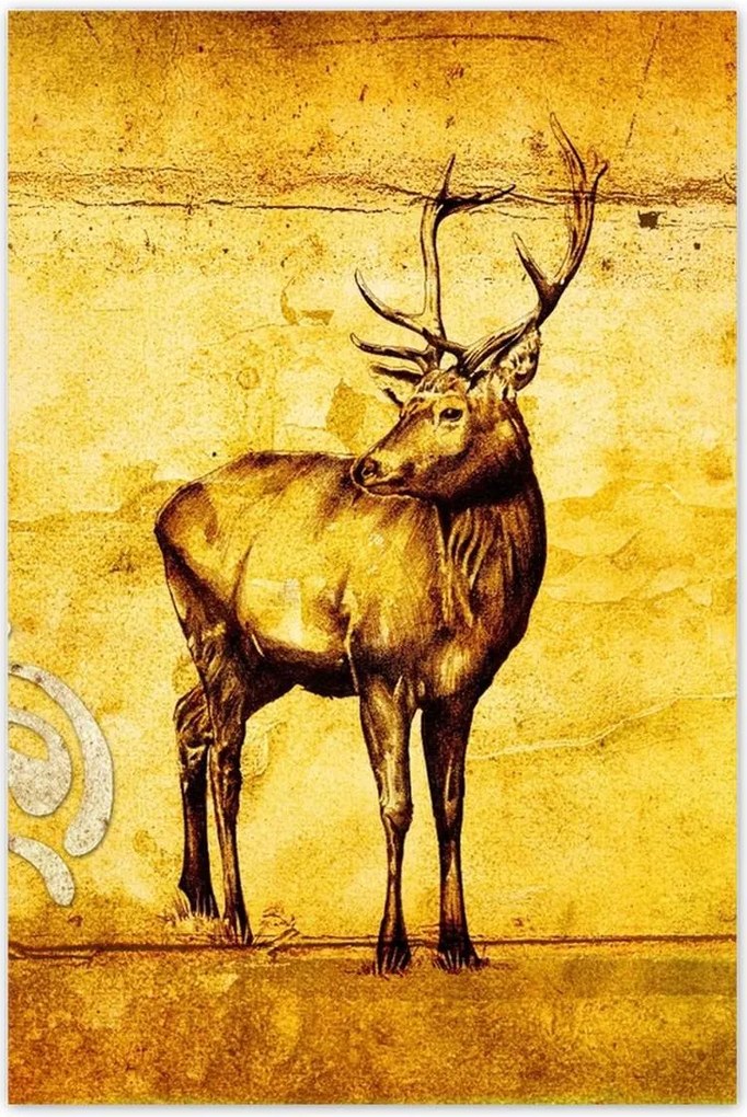 Poszterek 80x120 Szarvas