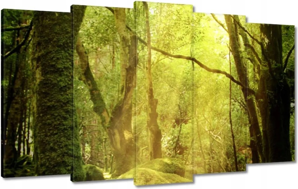 Vászonkép 100x60 Varázslatos erdő Tájkép