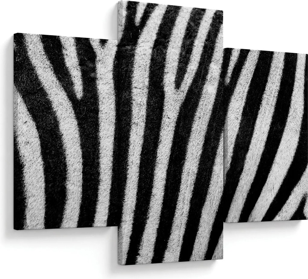 Kép egy zebra bőrről (90x60 cm)