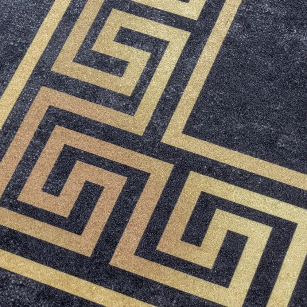 Antracitszürke mosható szőnyeg 120x170 cm Fiesta – Ayyildiz Carpets