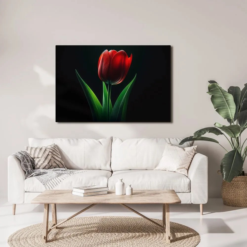 Kép vörös tulipán elegancia