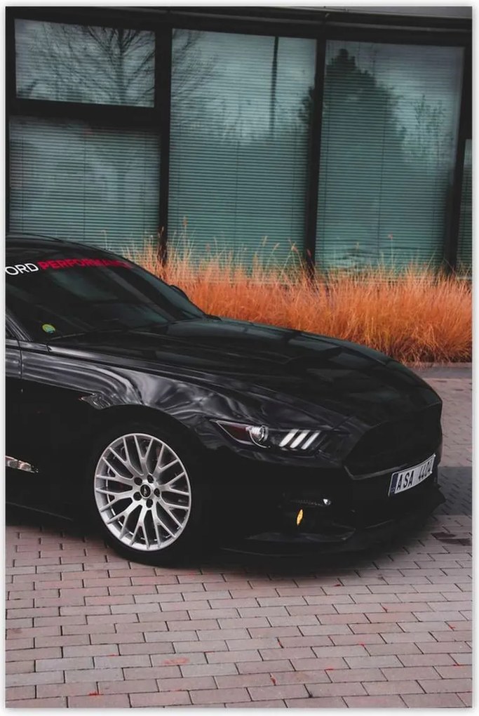 Poszterek 80x120 Ford Mustang Usa autó