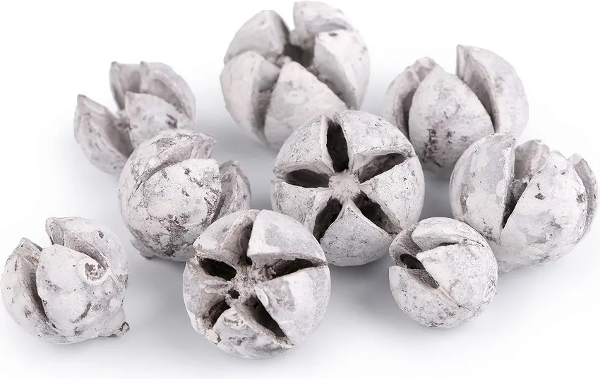 Dekortoboz kicsi Ciprus 2 fehér