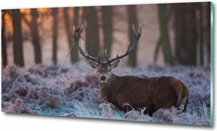 Fotó-üvegkép Szarvas napfelkeltekor 100x70