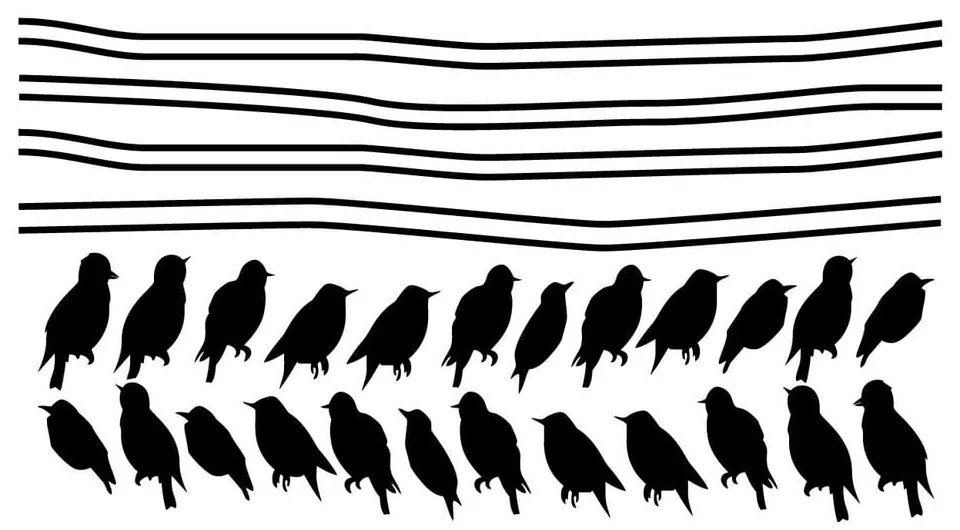 Starlings On Cable falmatrica készlet - Ambiance