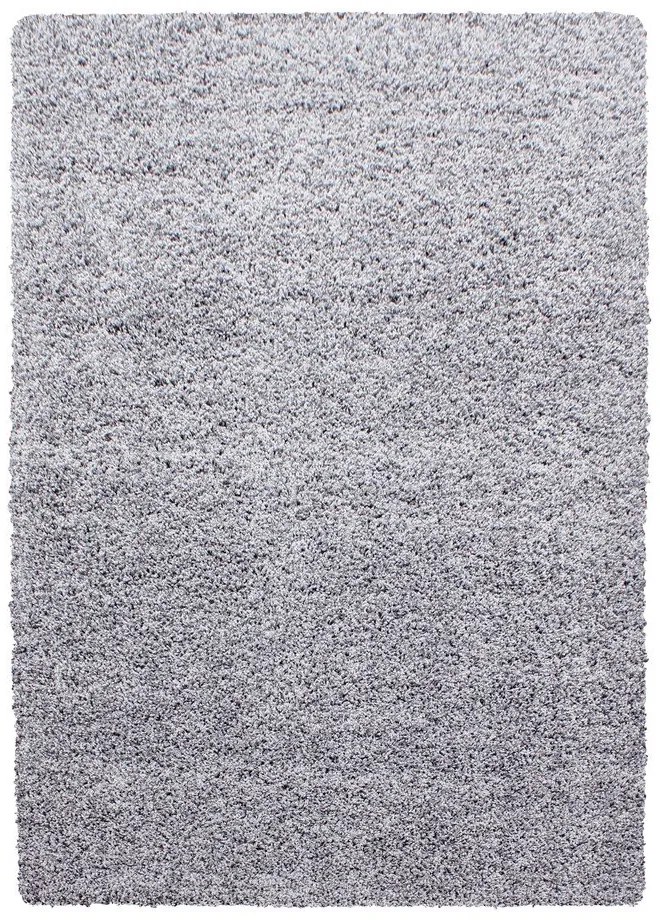 Világosszürke szőnyeg 80x150 cm Life – Ayyildiz Carpets