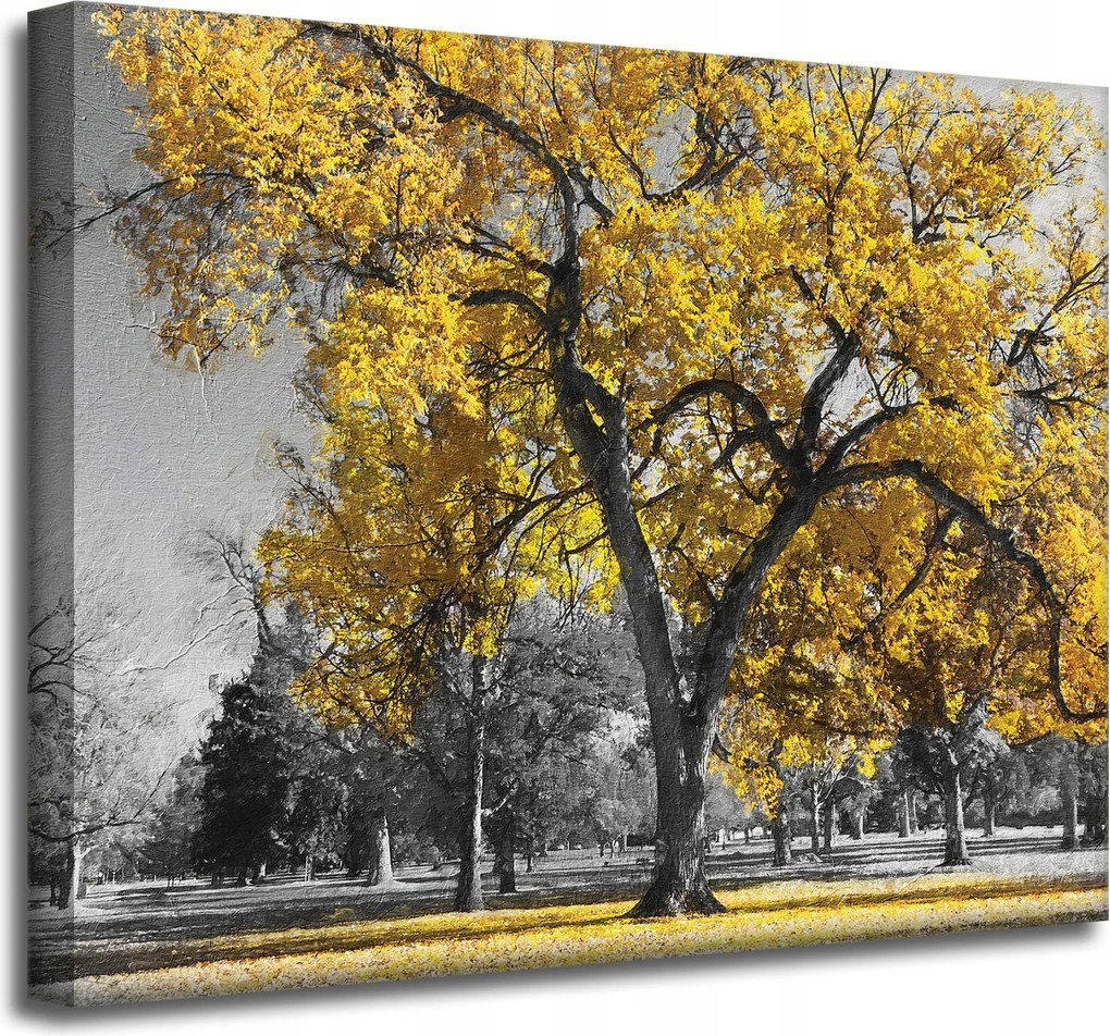 Vászonkép Fekete fák Sárga levelek 50x40 cm Ajándéknak is tökéletes