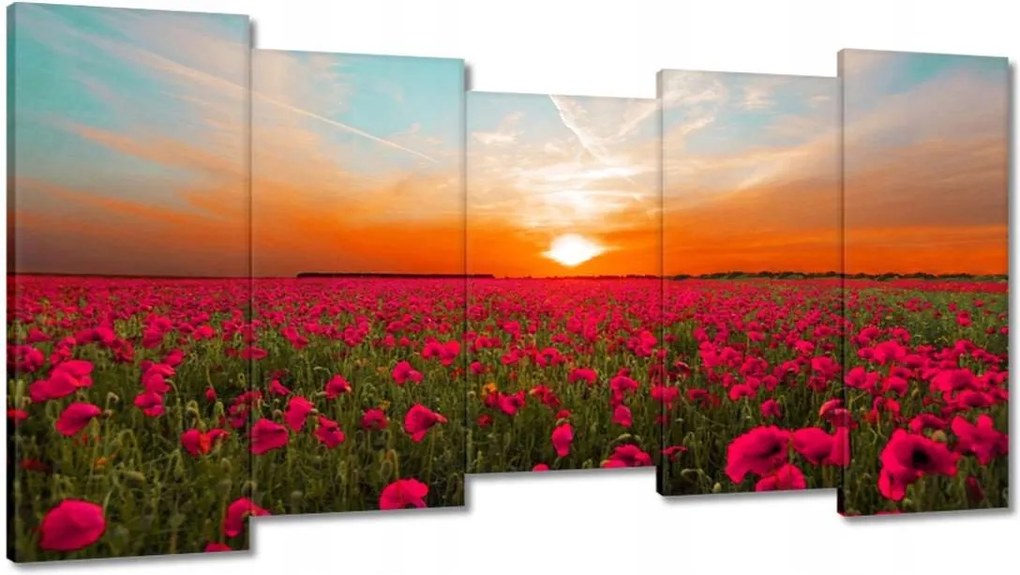 Vászonkép 150x80 Rózsaszín pipacsok Naplemente