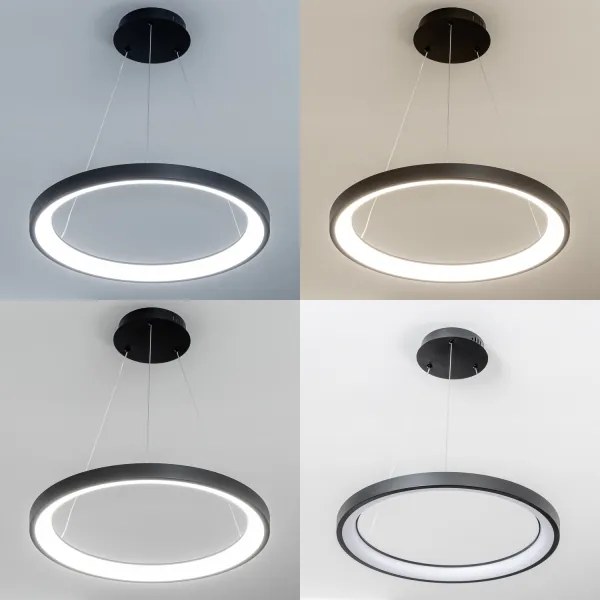 Brilagi - FALCON SLIM LED, dimmelhető kábeles függeszték LED/42W/230V, átm. 50 cm, fekete, távirányítóval