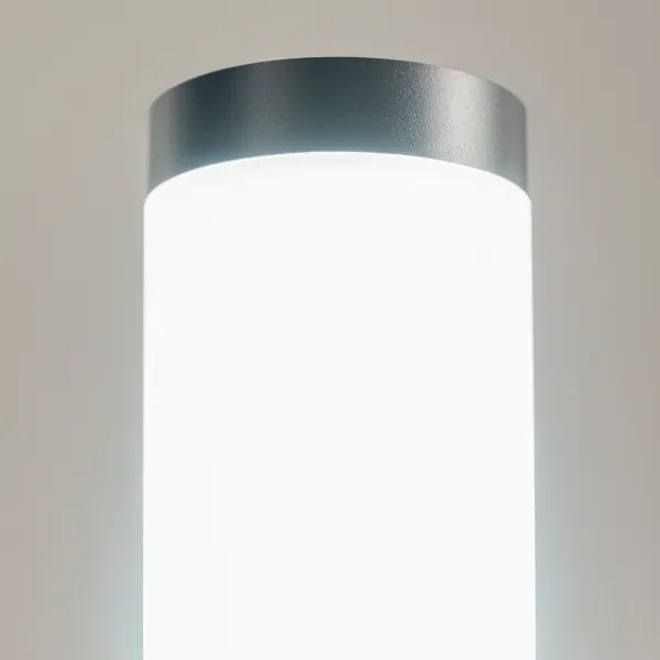 BRILAGI - ELIA kültéri lámpa dugaljjal 1xE27/20W/230V IP44 50 cm antracit