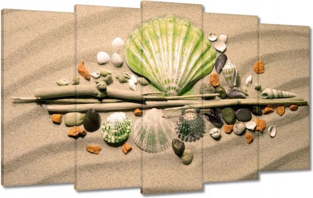 Vászonkép 100x60 Lime kagyló Balti-tenger