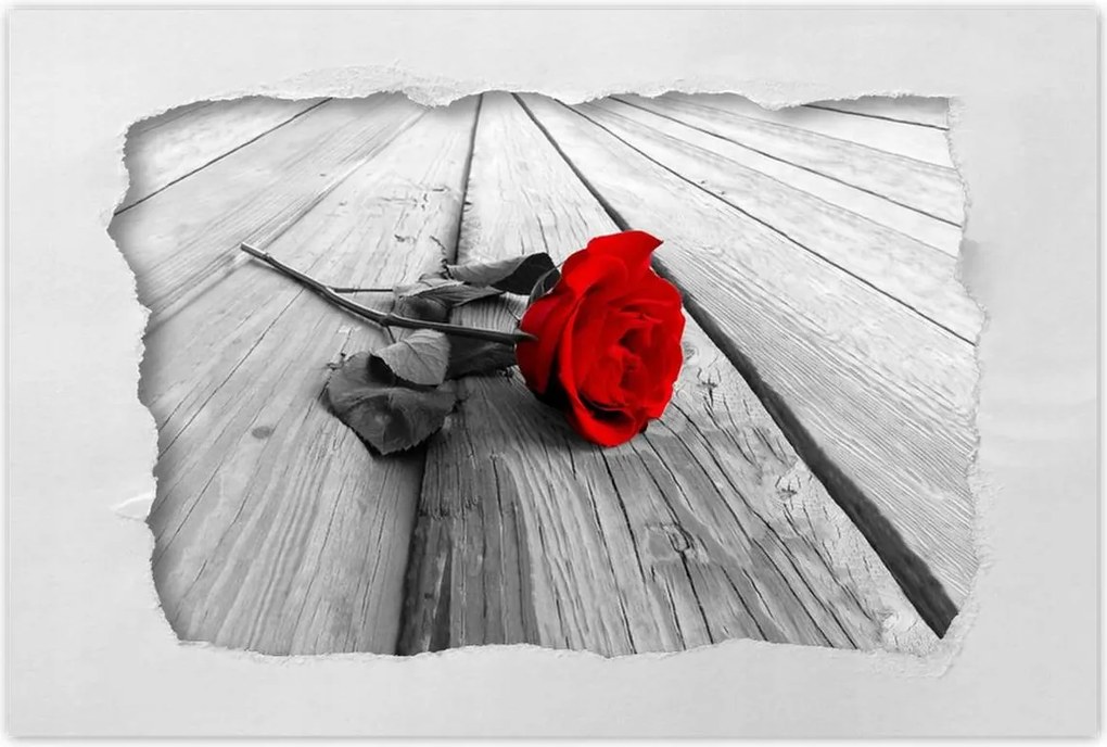 Poszterek 90x60 Vörös rózsa a hídon