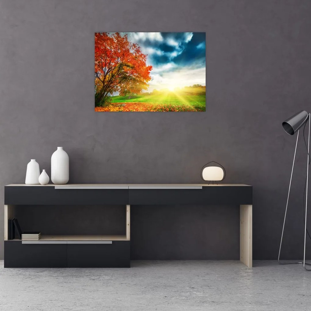 Napsütésben fürdő táj képe (70x50 cm)