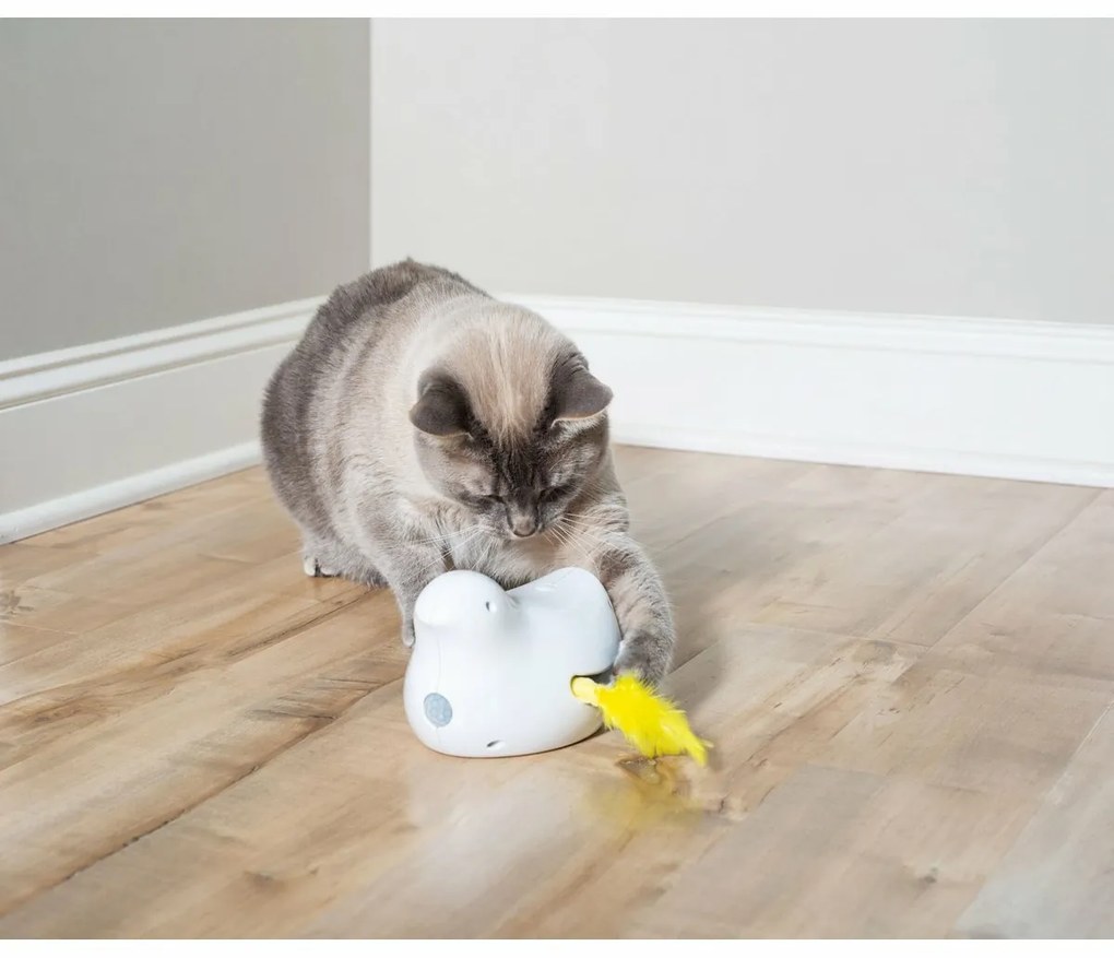 PetSafe® Peek-a-Bird™ Automatikus játék macskáknak
