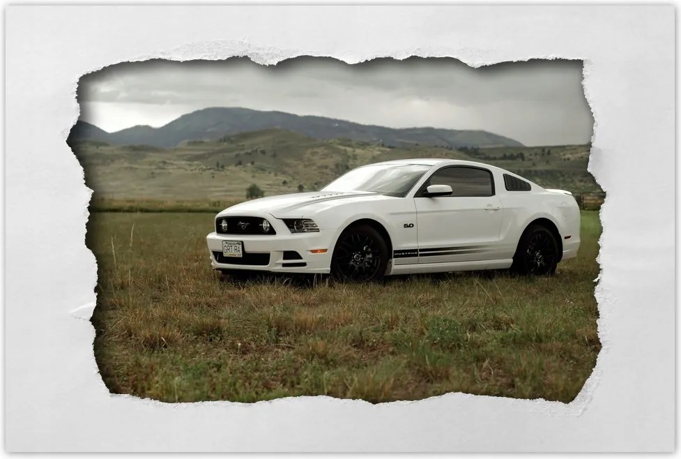 Poszter 60x40 Fehér Ford Mustang