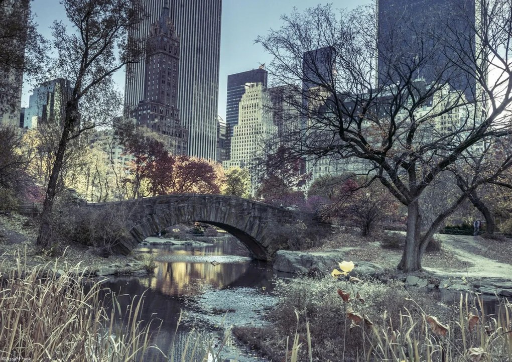 Poszter 29,7x21cm Kilátás a Central Park hídjára, Assaf Frank