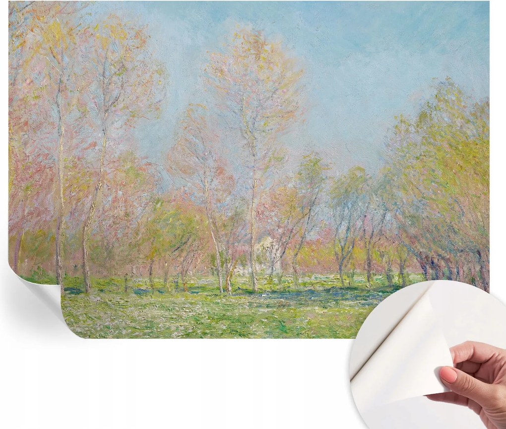 Fotótapéta Fali tapéta Hálószobába és Nappaliba Tavaszi park 208x146 cm