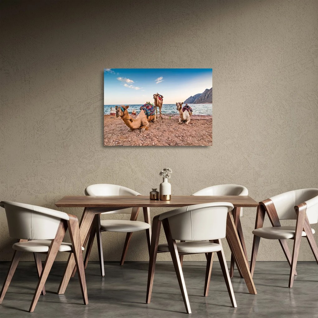A tevék képe (üvegen) (70x50 cm)