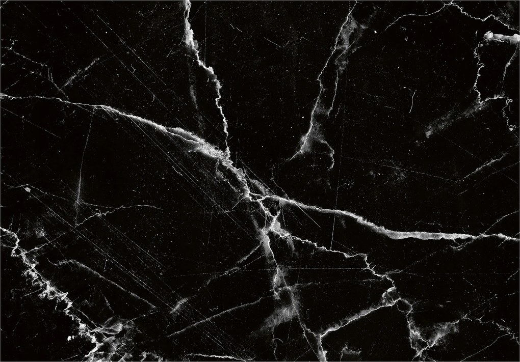Fotótapéta Fekete márvány damilokkal 368x254 vinil Elegancia és luxus +ragasztó