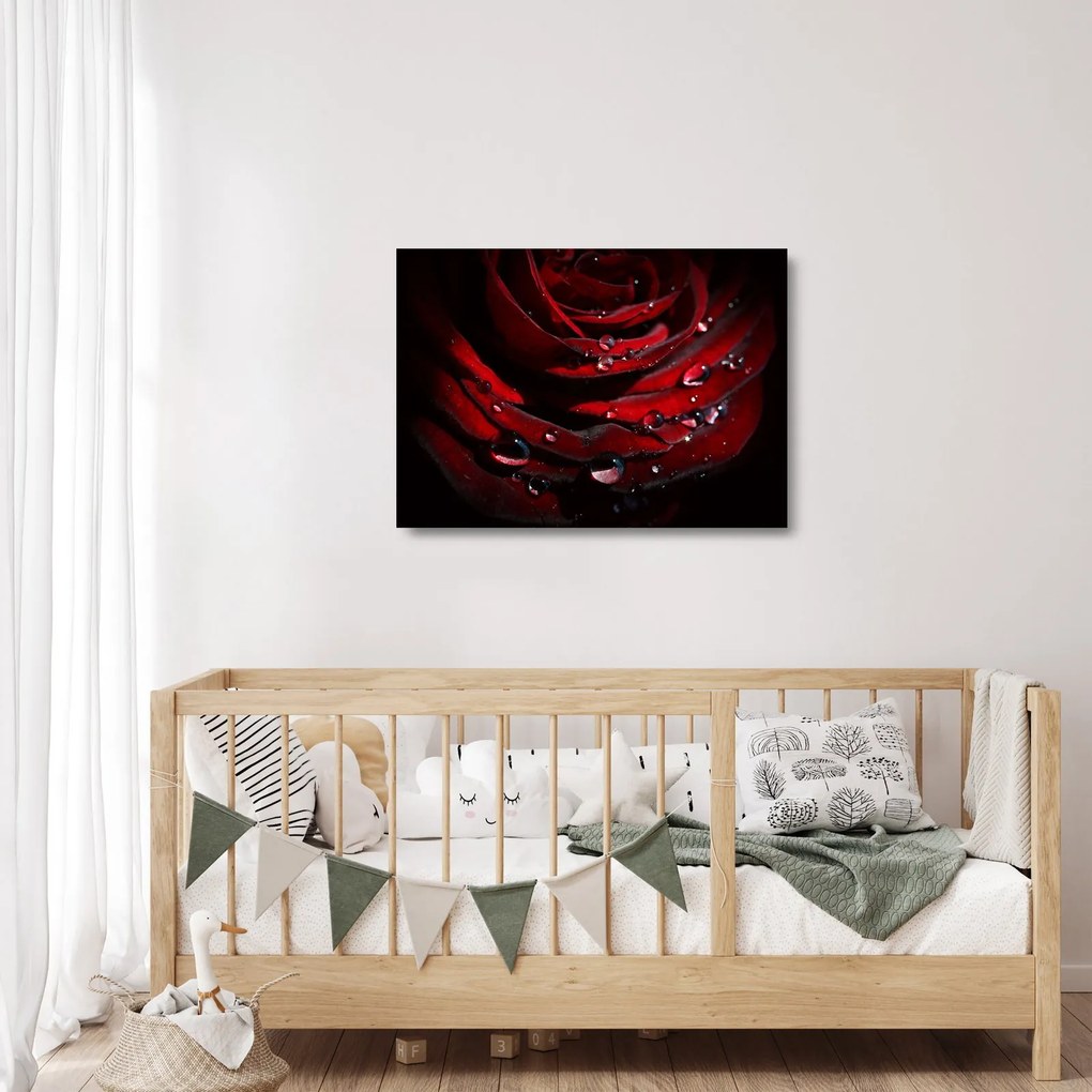 Kép - Rózsa részlete (üvegen) (70x50 cm)