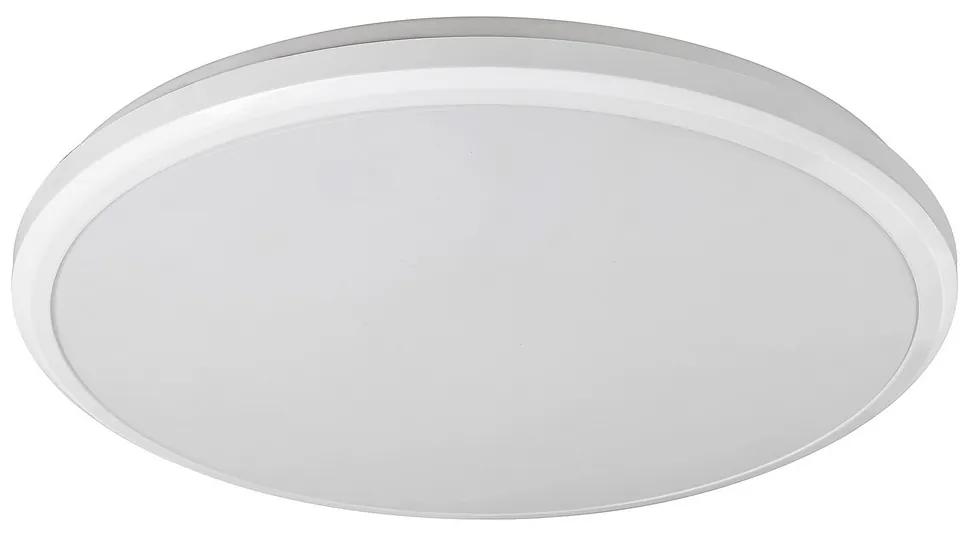 Rabalux Rabalux 1429 - LED Fürdőszobai mennyezeti lámpa BRANDON LED/24W/230V IP65 RL1429