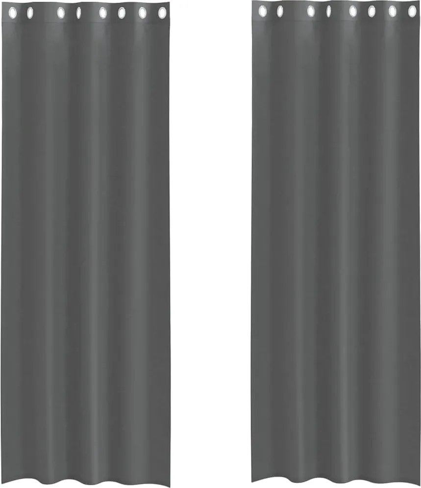 vidaXL 2 db sötétszürke fátyolfüggönyök rojtokkal 140x260 cm