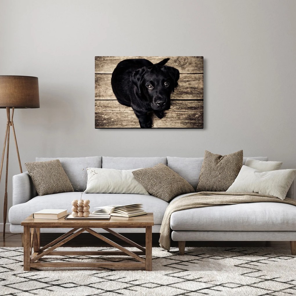 Egy fekete kiskutya képe (90x60 cm)
