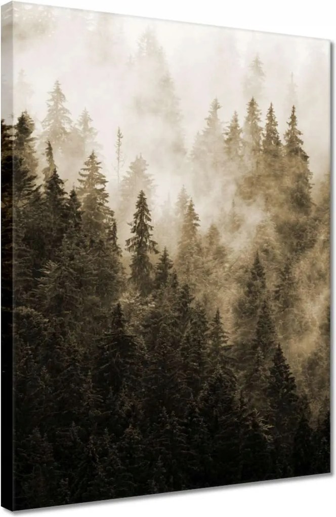 Vászonkép 30x40 Tájkép Szépia Hegyek Köd