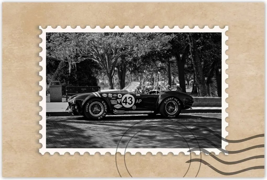 Poszterek 60x40 Shelby