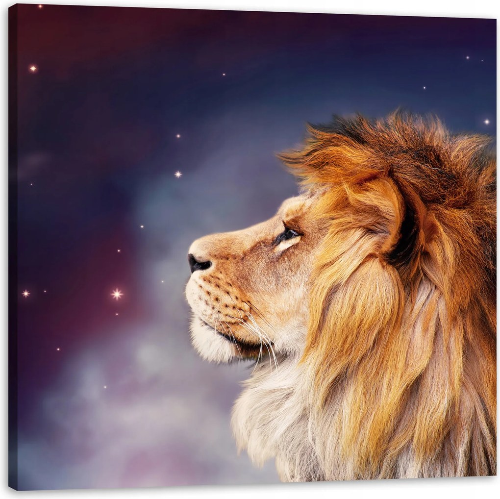 Vászonkép Oroszlán arca a csillagok között 60X60 cm Ideális ajándék