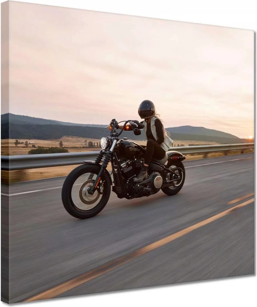 Vászonkép 30x30 Harley Davidson Motorkerékpár