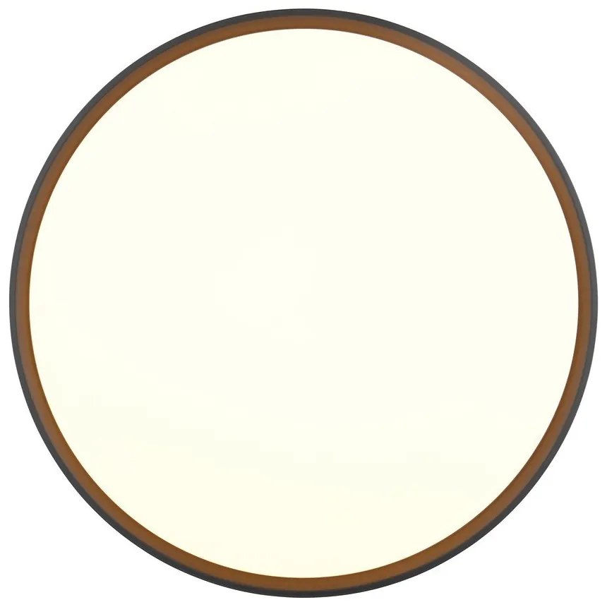 Fekete-fehér LED mennyezeti lámpa ø 47 cm Spacy – Trio