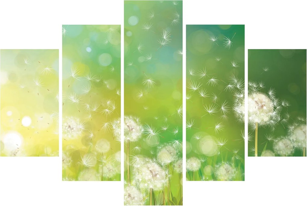Kép - Virágozatlan pitypang (150x105 cm)