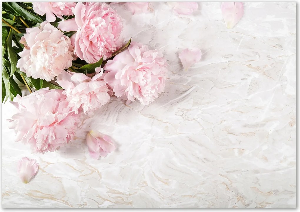 Lacobel üveg fotó nyomtatással bazsarózsa Ragasztó Ingyenes