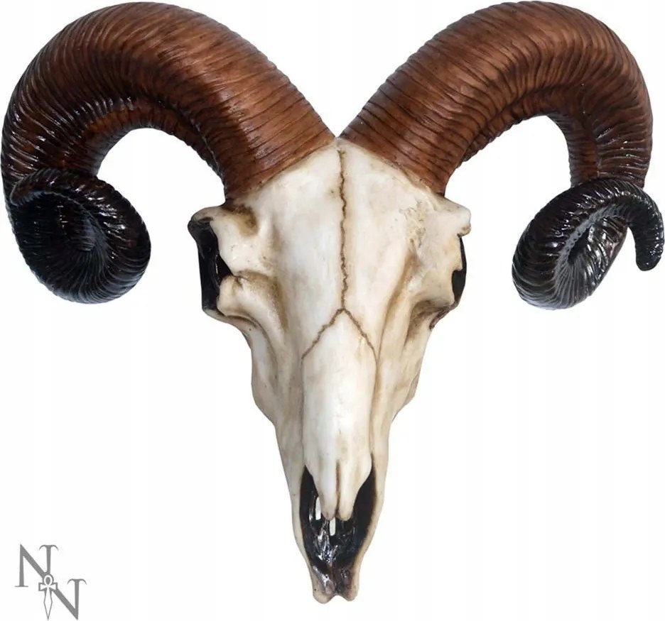 Sarkok Rams Skull Fali Dekoráció 34 cm Eredeti