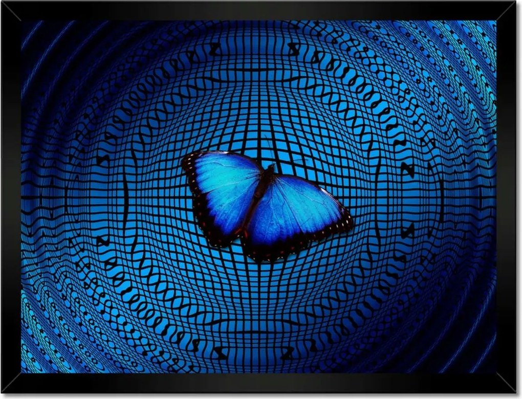 Poszterek keretben 40x30 Pillangó a medencében