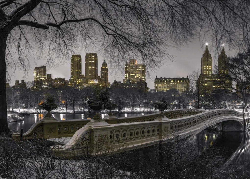 Poszter 70x50cm Központi park Manhattan panorámával, Assaf Frank