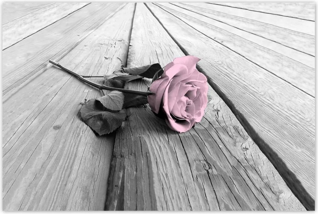 Poszterek 120x80 Púderrózsaszín Old pink Rose