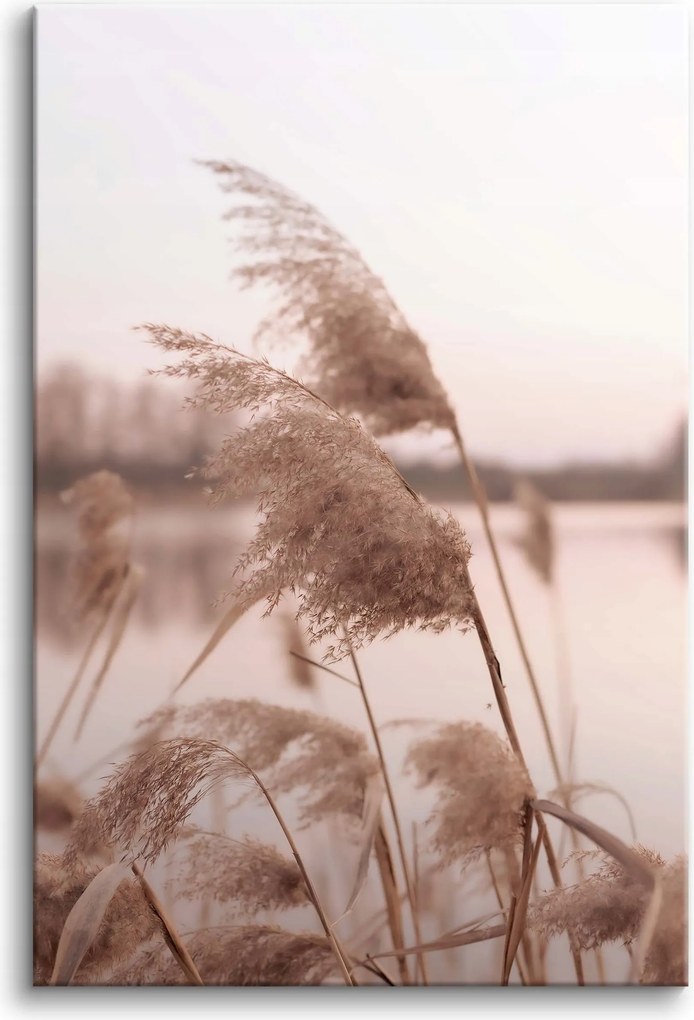 Vászonkép fali dekoráció nappaliba fű tó 80x120cm